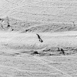 Pathiakis  Dimitris   - 82/100