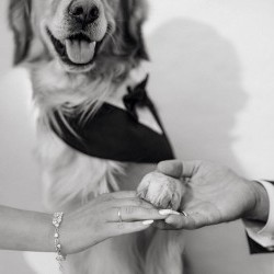 Makris John  - 80/100